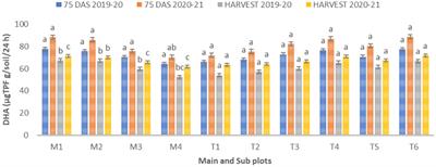 Rice residue management alternatives and nitrogen optimization: impact on wheat productivity, microbial dynamics, and enzymatic activities